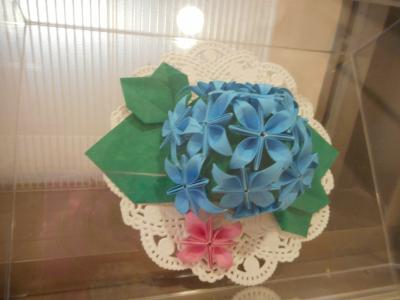 DSCN1581