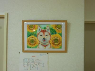 DSCN1674