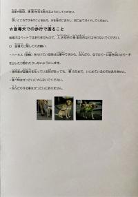IMG_5172-6