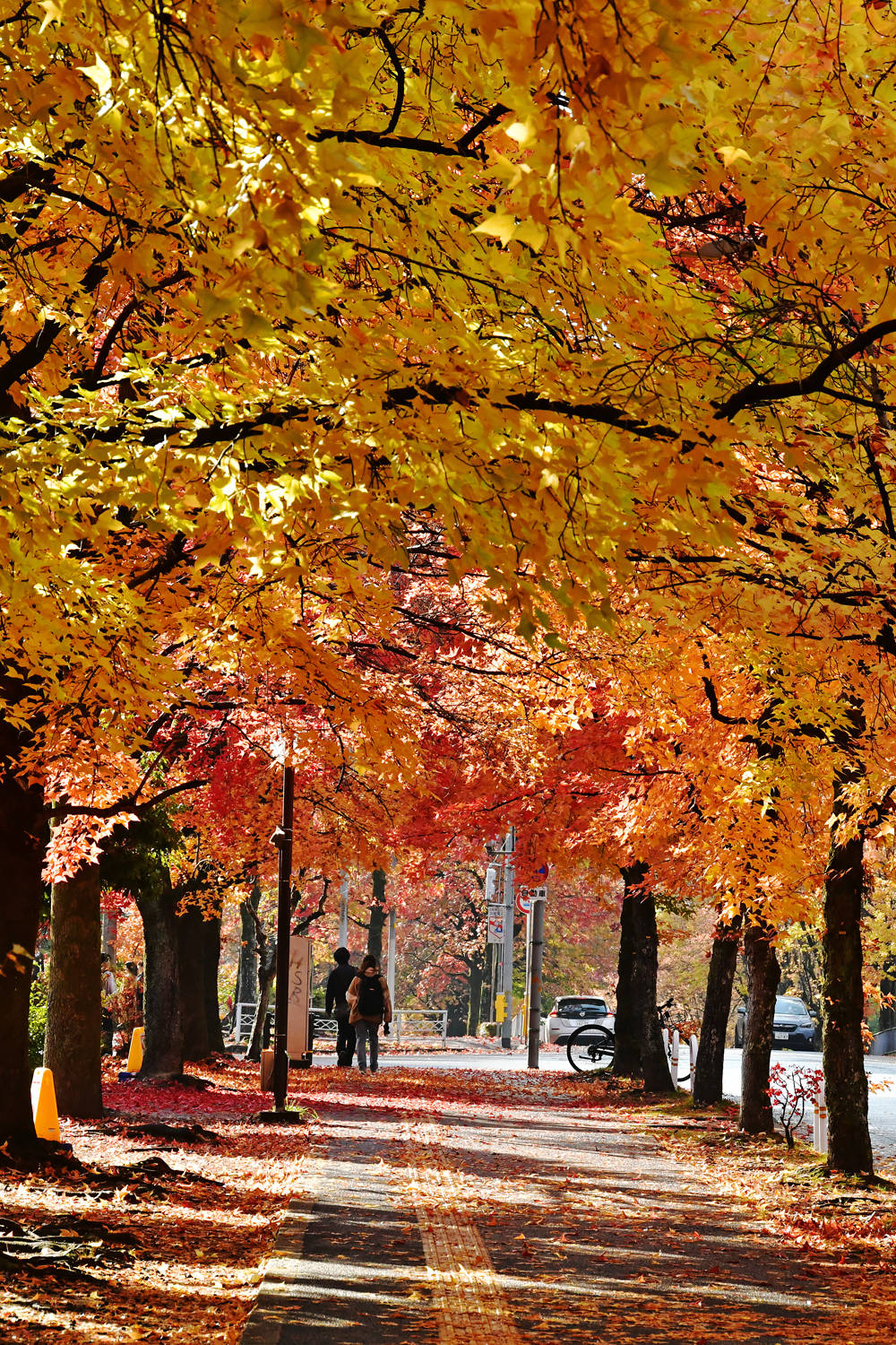 9-ー三色彩道ー堀米和夫