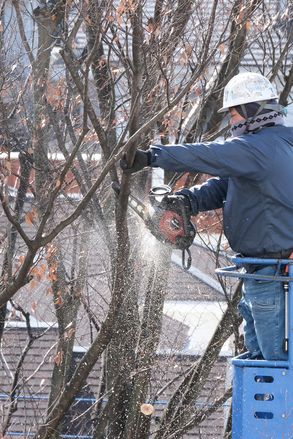 9-成形-福井和子-2