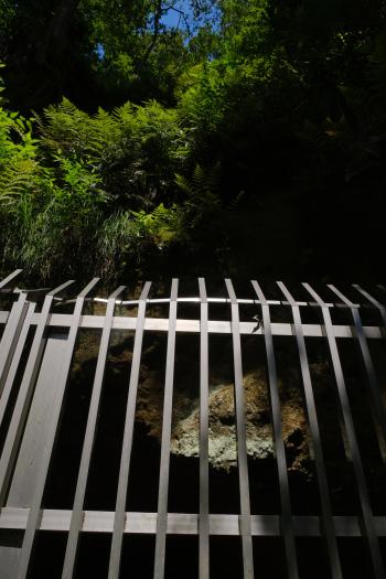 4-芹沢公園-山口順正-2