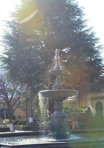 5-気温34°山手-山口順正①