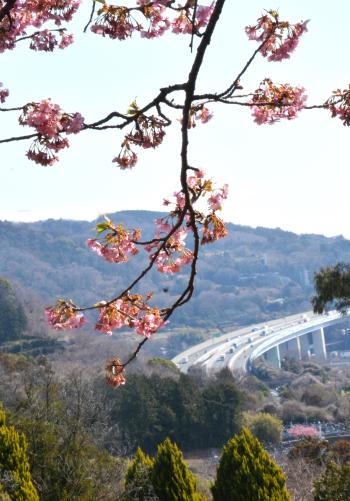7-招春-栗田幸三郎