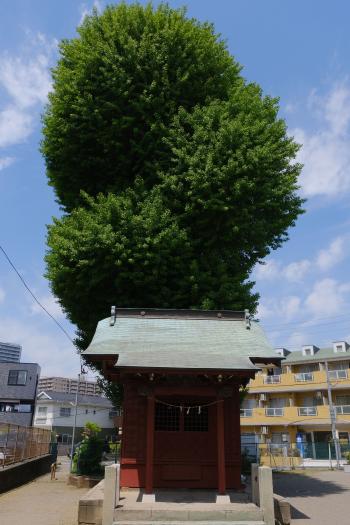 4-街の中のお社-山口順正-2