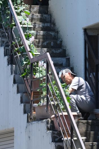 ４－-階段菜園  ―福井