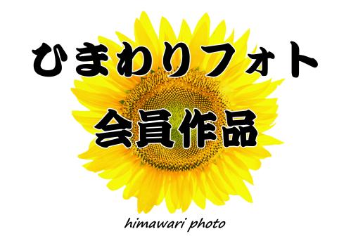 0-ひまわりフォトシンボル-005