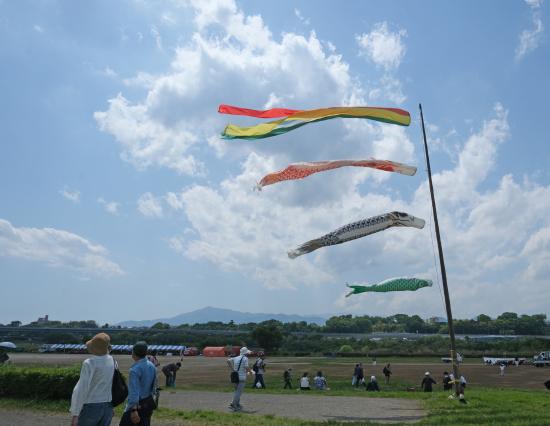 ３-北風日和-福井和子