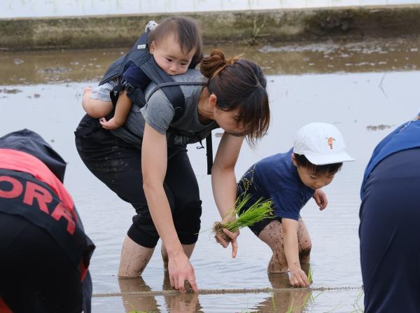 01福井　親子で田植え