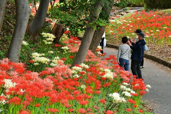 09堀米　在りし日