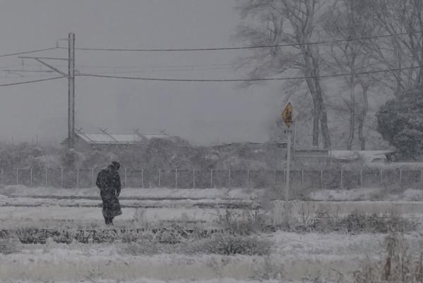 １-細雪 - 大原宏麗