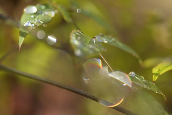 ５－雨上がりー加藤邦夫-2