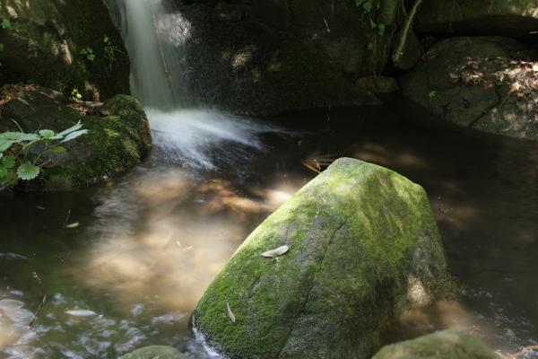 1-石苔のやすらぎ-久積千秋-2
