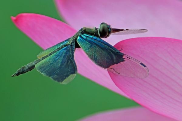 8-虹色に煌めき-堀米和夫