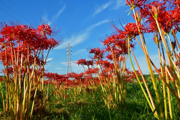 ８－里の秋-堀米和夫