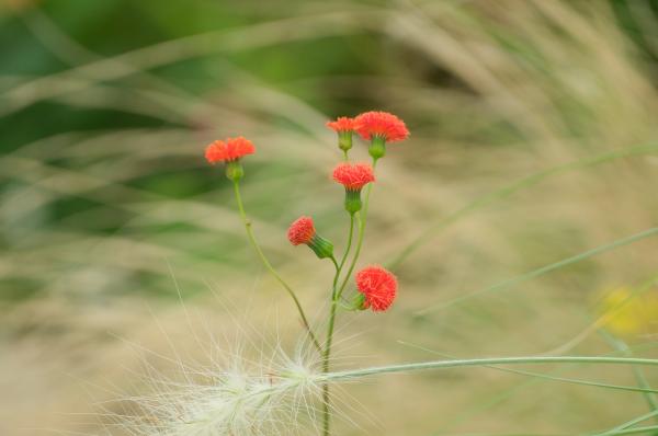 1-公園のアルバム-久積千秋