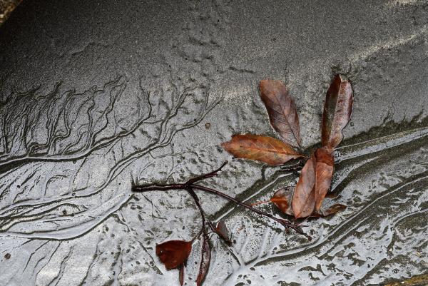 8-波当津(はとうづ)海岸-加藤邦夫-2