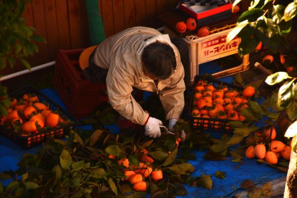 1-晩秋のご褒美 ―栗田幸三郎