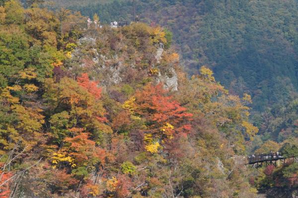 9-晩秋-久積千秋-2