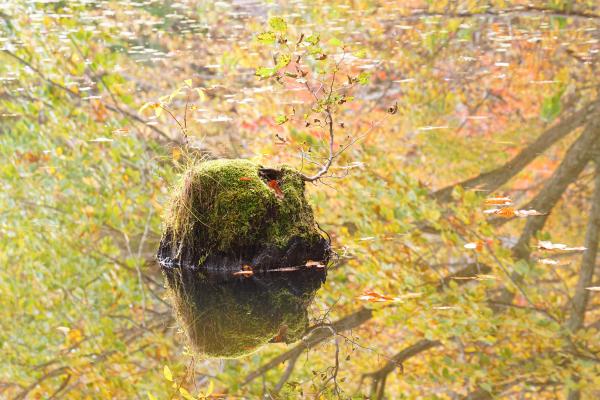 1ー秋乱舞―加藤邦夫