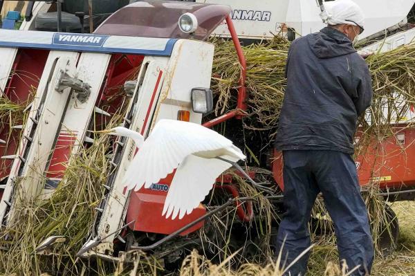 2-晩秋の饗宴ー大原宏麗