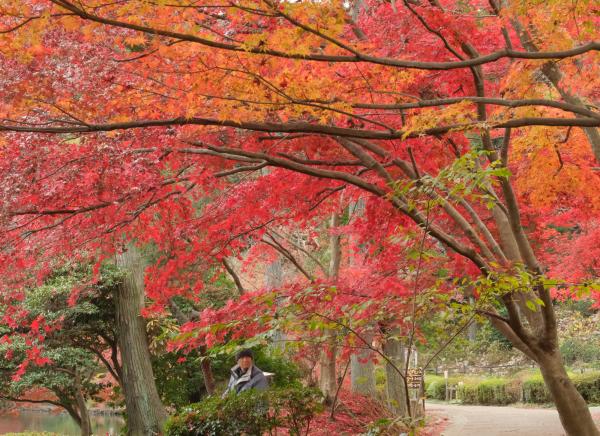 3-華やかにー久積千秋