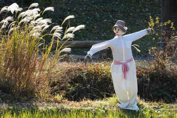 3-晩秋の独り舞い-大原宏麗