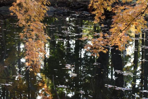 8-至福の時-加藤邦夫