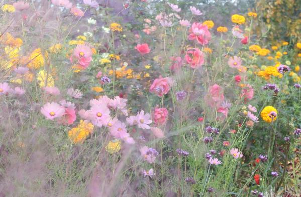 1-休日の公園-斉藤幸子