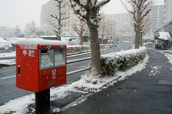1-初雪便り-福井和子