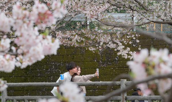 1-めでる -久積千秋