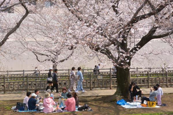 2-爛漫 -栗田幸三郎