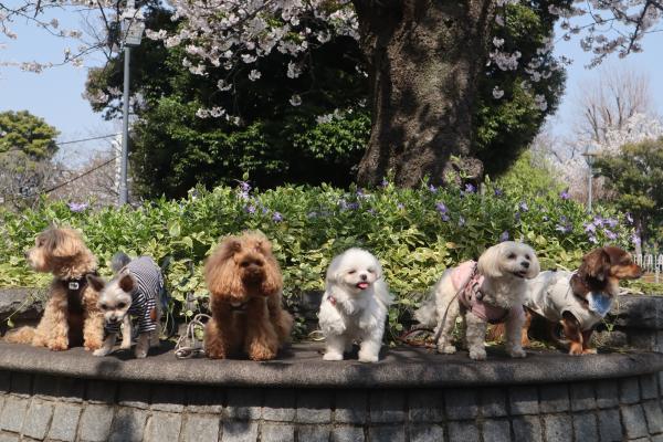 6-仲間どうし-斉藤幸子