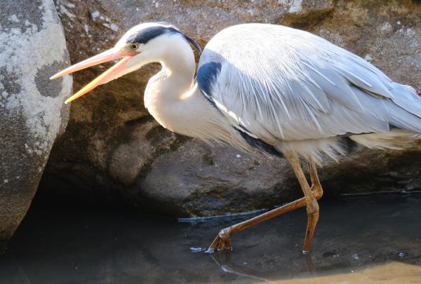 7-獲物発見-福井和子