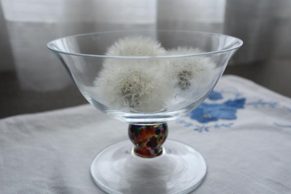 3-綿毛-斉藤幸子-2