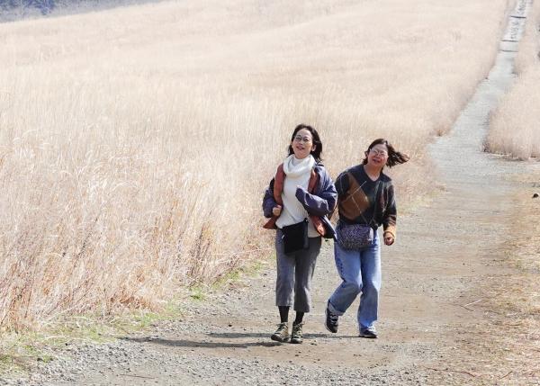 5-青春-八代一二