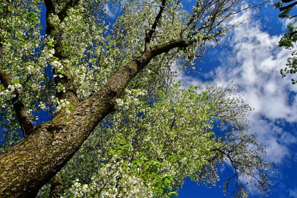 7-春に装い-堀米和夫-2