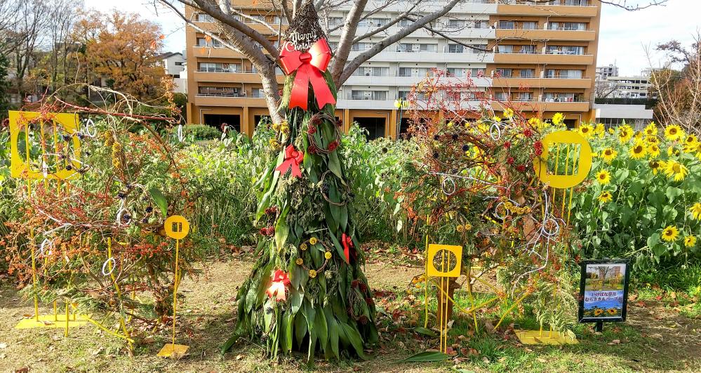 HORIZON_0001_BURST20251209125504068_COVER-EDIT