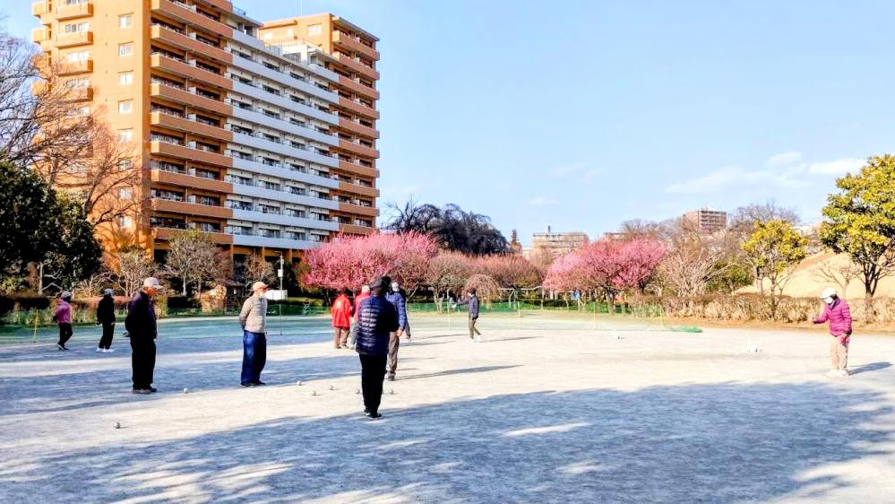 1769053632660-EDIT-EDIT