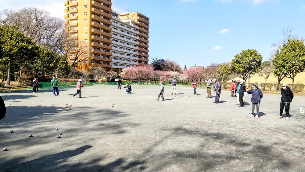 HORIZON_0001_BURST20260218132924796_COVER-EDIT