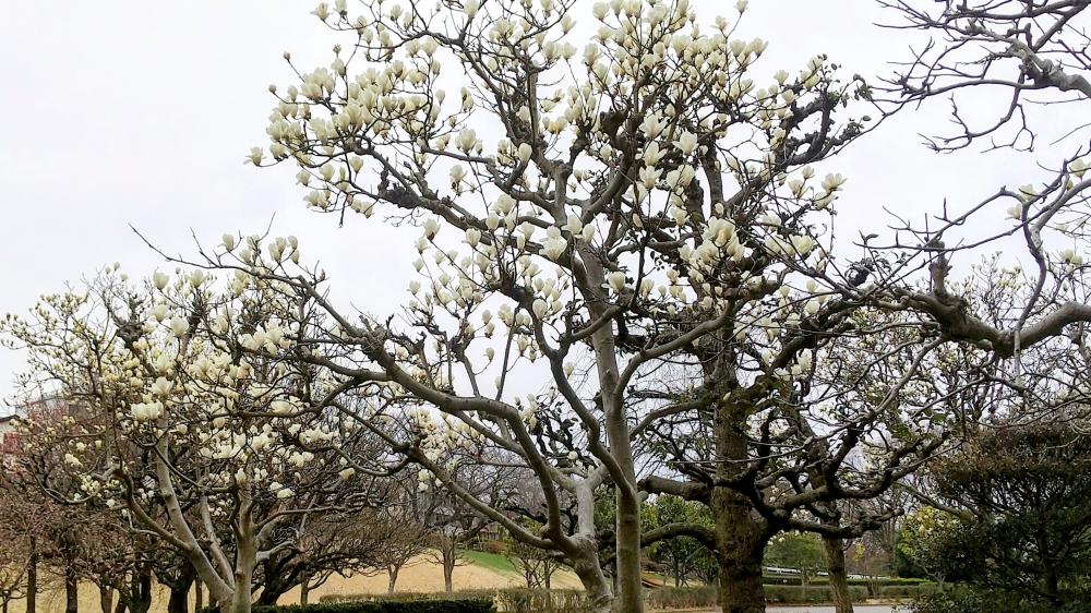 CENTER_0002_BURST20260313122114733-EDIT