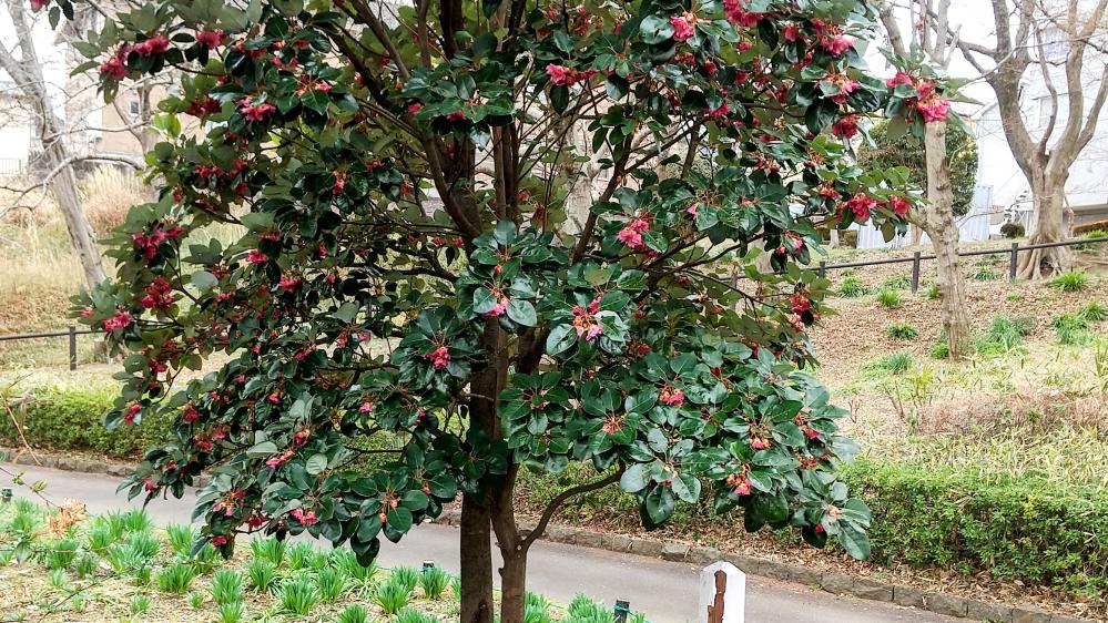 HORIZON_0001_BURST20260313121941341_COVER-EDIT