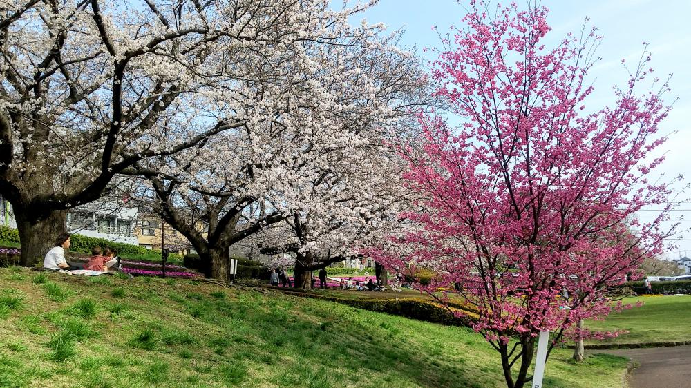 HORIZON_0001_BURST20260330144124030_COVER-EDIT