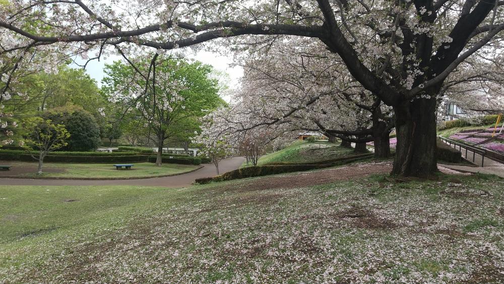 HORIZON_0001_BURST20260407125501536_COVER