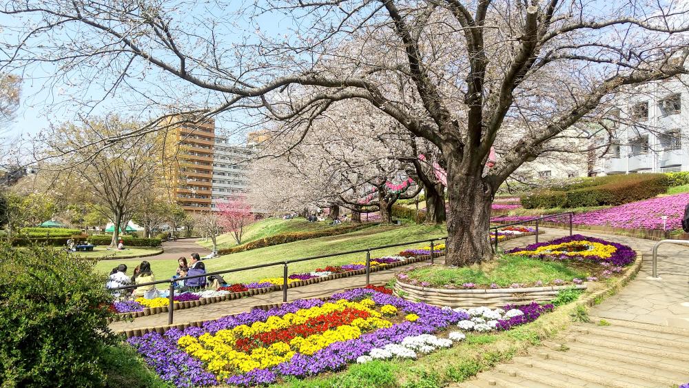 HORIZON_0001_BURST20260328123513238_COVER-EDIT