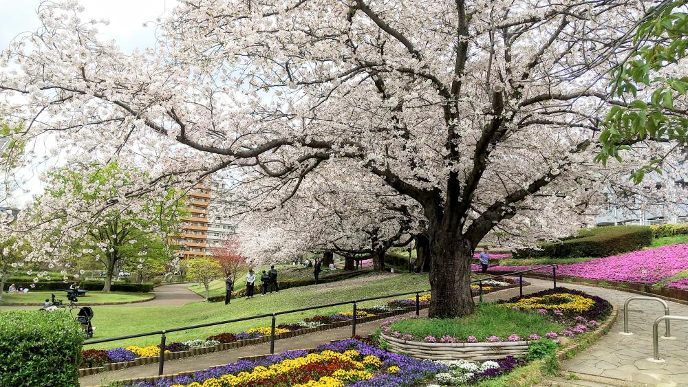 HORIZON_0001_BURST20260406122100551_COVER-EDIT