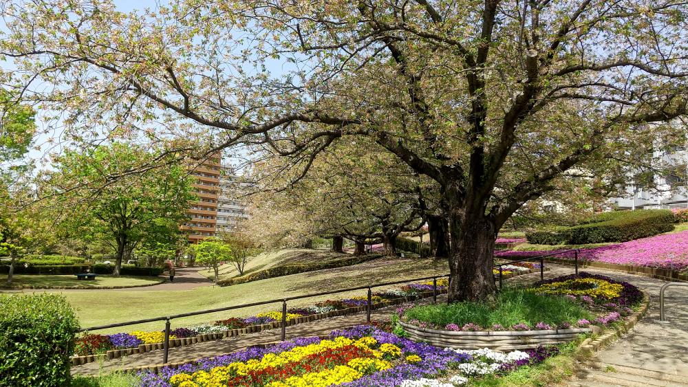 HORIZON_0001_BURST20260411121228549_COVER-EDIT