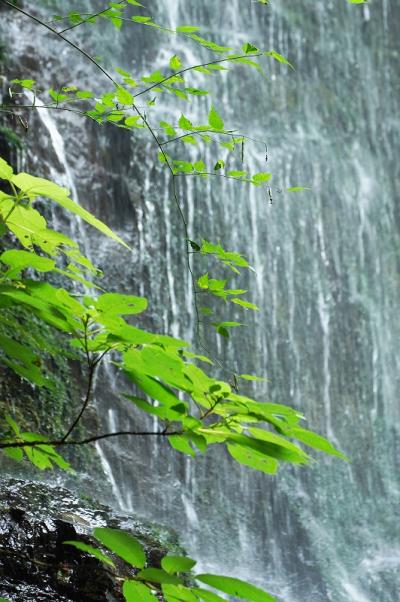 7野口-涼しさ漂う