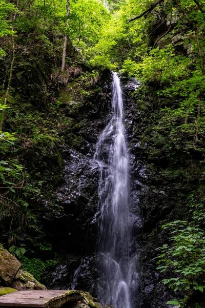 8①小澤ー龍神の滝（檜原村）1