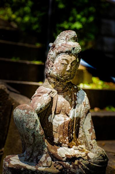 5武田－伊勢原-易往寺